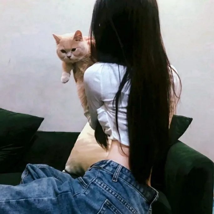 男狐聊斋